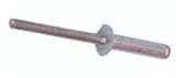 Show details for Small flange pop rivet ( 1000/Pkg ) Picture of Small flange pop rivet ( 1000/Pkg )