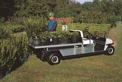 Show details for 1999 - Club Car, Carryall 1, Carryall 2, Carryall Turf 2, Carryall 2 plus, Carryall 6 - Electric & Gasoline (101993902) Picture of 1999 - Club Car, Carryall 1, Carryall 2, Carryall Turf 2, Carryall 2 plus, Carryall 6 - Electric & Gasoline (101993902)
