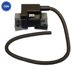 Show details for Ignition Coil And Ignitor Picture of Ignition Coil And Ignitor