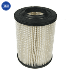 Show details for Air Filter Picture of Air Filter