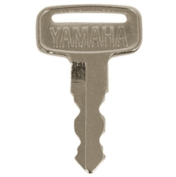 Show details for Replacement Keys (25/Pkg) Picture of Replacement Keys (25/Pkg)