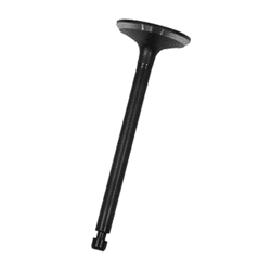 Show details for Intake valve Picture of Intake valve