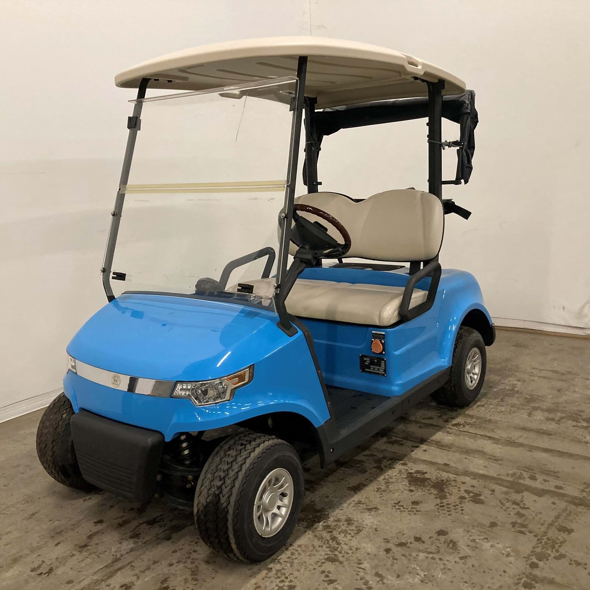 Picture of Trade - 2018 - Electric - Hansecart - 2 seater - Blue