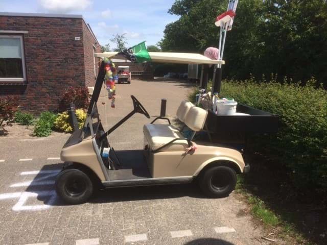 Picture of Used - 1991 -  Electric - Club Car DS - Beige - with cargo box