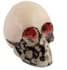 Picture of Sport shifter knob, skull white, Picture 1