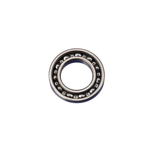 Picture of BEARING ASSY (6007)*