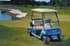 Picture of 2001-2002 - Club Car DS - G&E (102189901), Picture 1