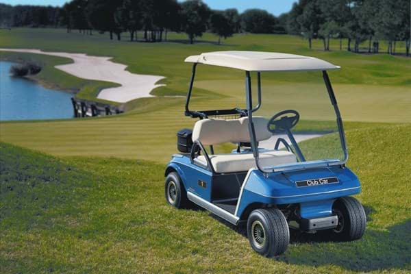 Picture of 2008 - Club Car DS - G&E (103373002)