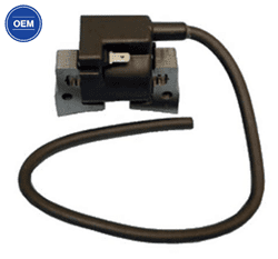 Picture of Ignition Coil And Ignitor