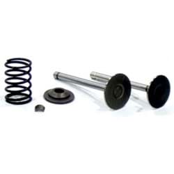 Picture for category Engine Valves/Parts