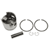 Picture of One Port Piston And Ring Assembly, Picture 1