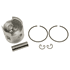 Picture of Piston and ring assembly .25mm OS, Picture 1